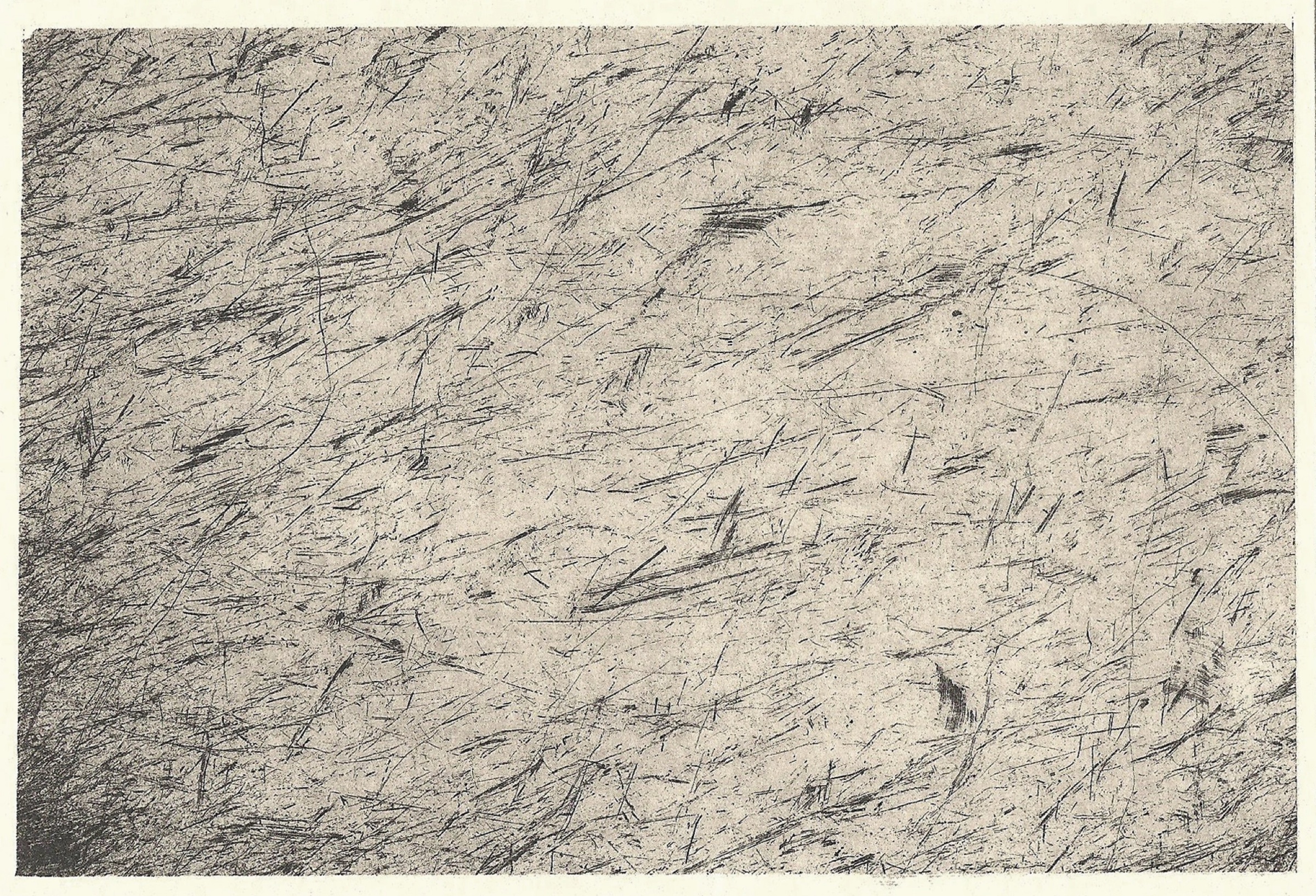 Obra de Paula Cid Cerezo